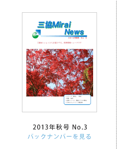 OMirai News 2013NHNo.3